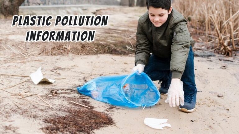 plastic pollution information