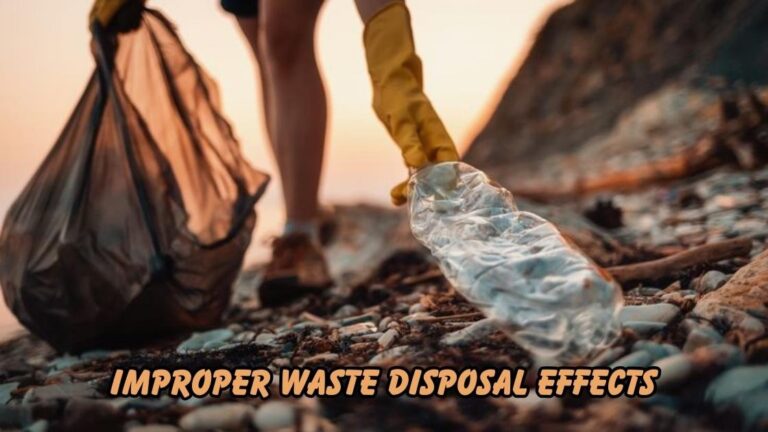 improper waste disposal effects