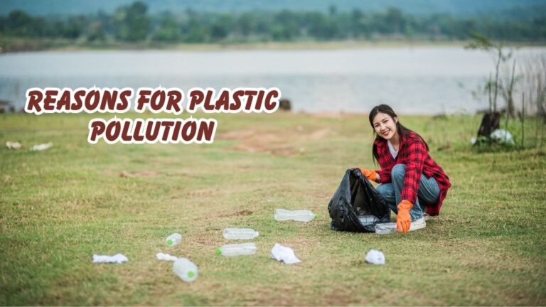 reasons for plastic pollution