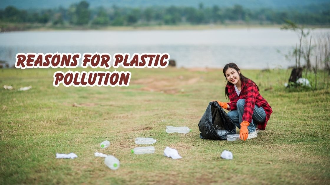 reasons for plastic pollution