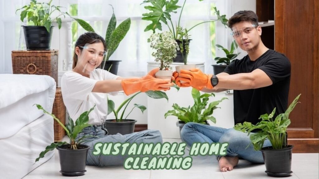 Sustainable Home Cleaning