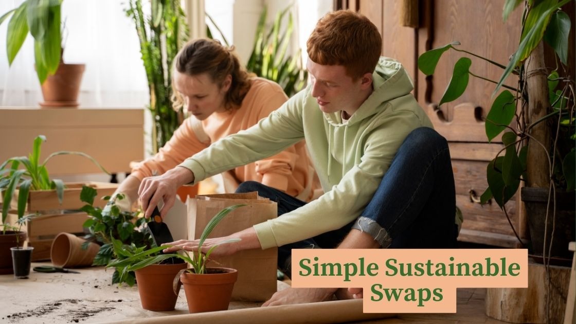 Simple Sustainable Swaps