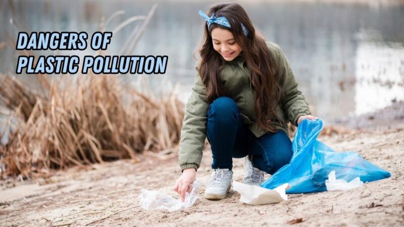 dangers of plastic pollution