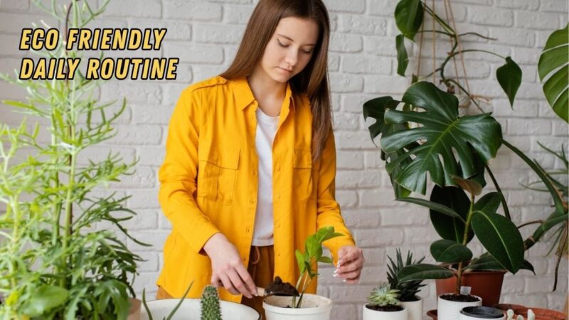 Eco Friendly Daily Routine
