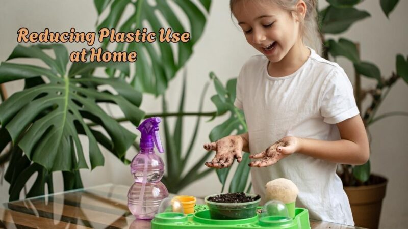 Reducing Plastic Use at Home