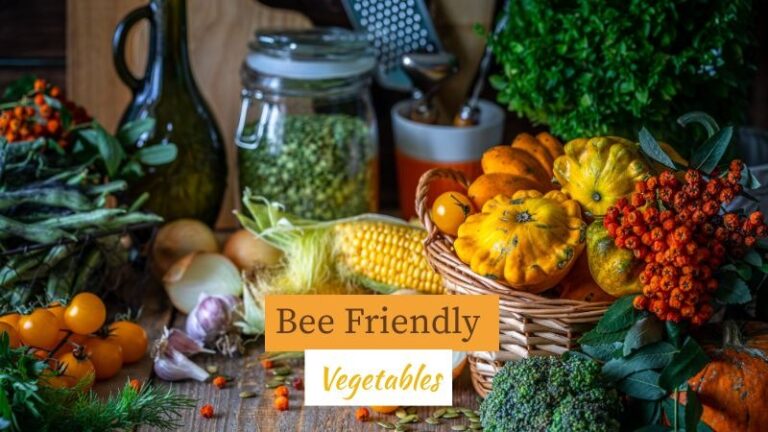 Bee Friendly Vegetables