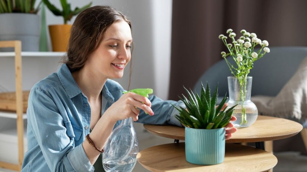 sustainable daily habits